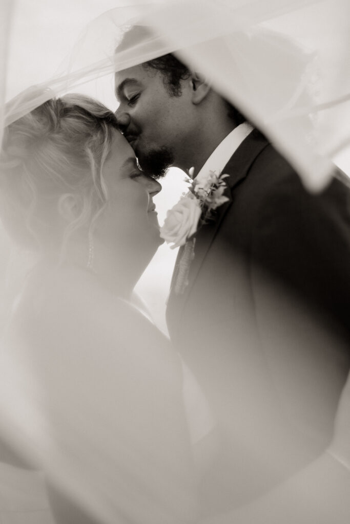 Groom kisses bride’s forehead under the veil on their wedding day, captured by White Sands Weddings — showcasing the beauty and value of professional wedding photography.